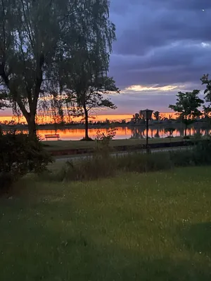 8-Zimmer-Gewerbeimmobilie kaufen in Neusiedl am See – 1 000 m², € 1.500.000 – Bild 4 von 8