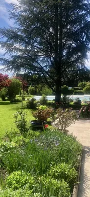 Haus kaufen in Salzburg Stadt – 248 m², € 6.700.000 – Bild 3 von 6