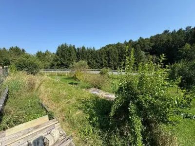 Haus kaufen in Hartberg-Fürstenfeld – 100 m², € 110.000 – Bild 43 von 50