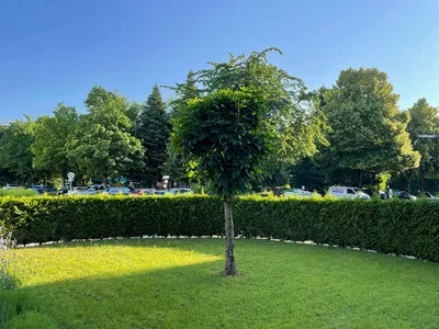 2-Zimmer-Wohnung mieten in Linz – 61 m², € 965 – Bild 8 von 8