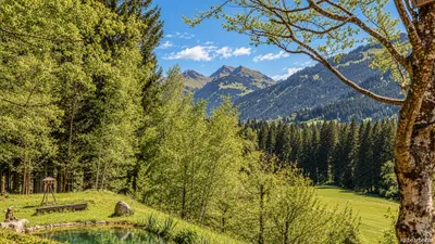 4-Zimmer-Immobilie mieten in Kitzbühel – 189 m², € 4.500 – Bild 44 von 44