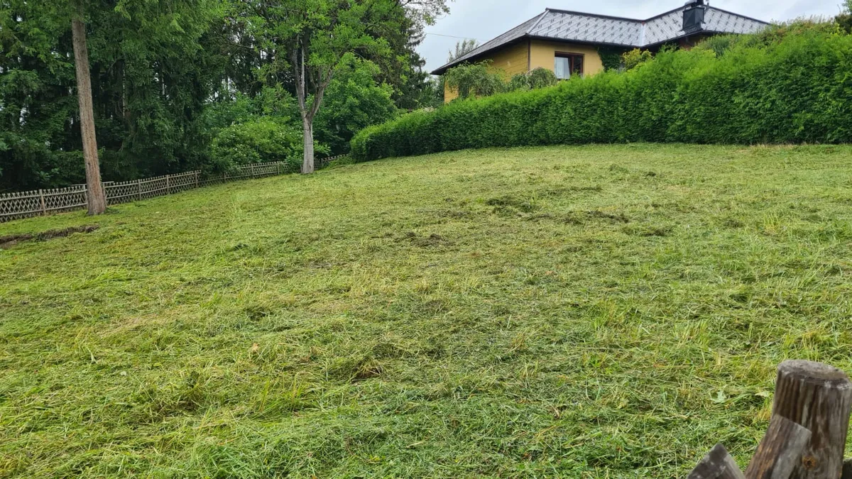 Freizeit-Grundstück in Grieskirchen zu verpachten - Ansicht 2