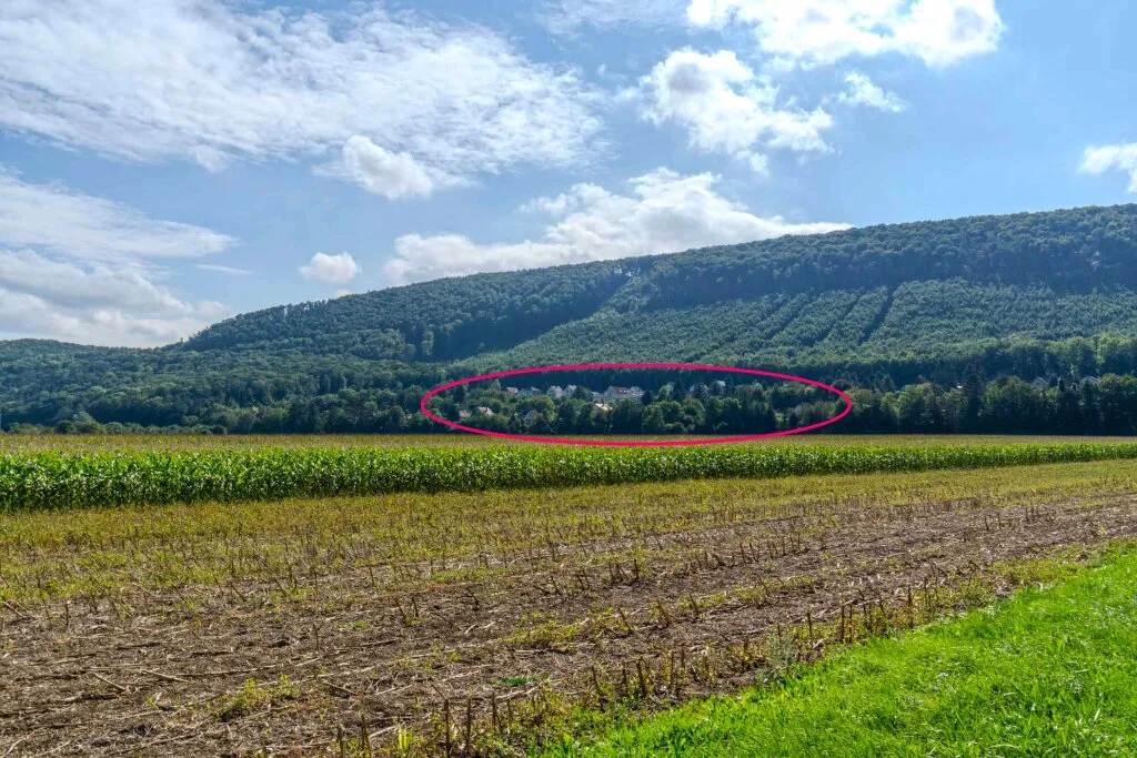 Idyllisches Landhaus in Wohnsiedlung am Waldesrand mitten im Triestingtal, südliches Bergland vor Wien - Ansicht 2