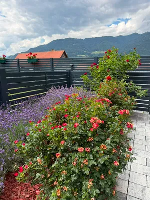2-Zimmer-Wohnung kaufen in Murau – 85 m², € 399.000 – Bild 21 von 34