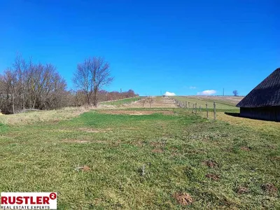 Grundstück kaufen in Gänserndorf – 8 346 m², € 195.000 – Bild 6 von 6