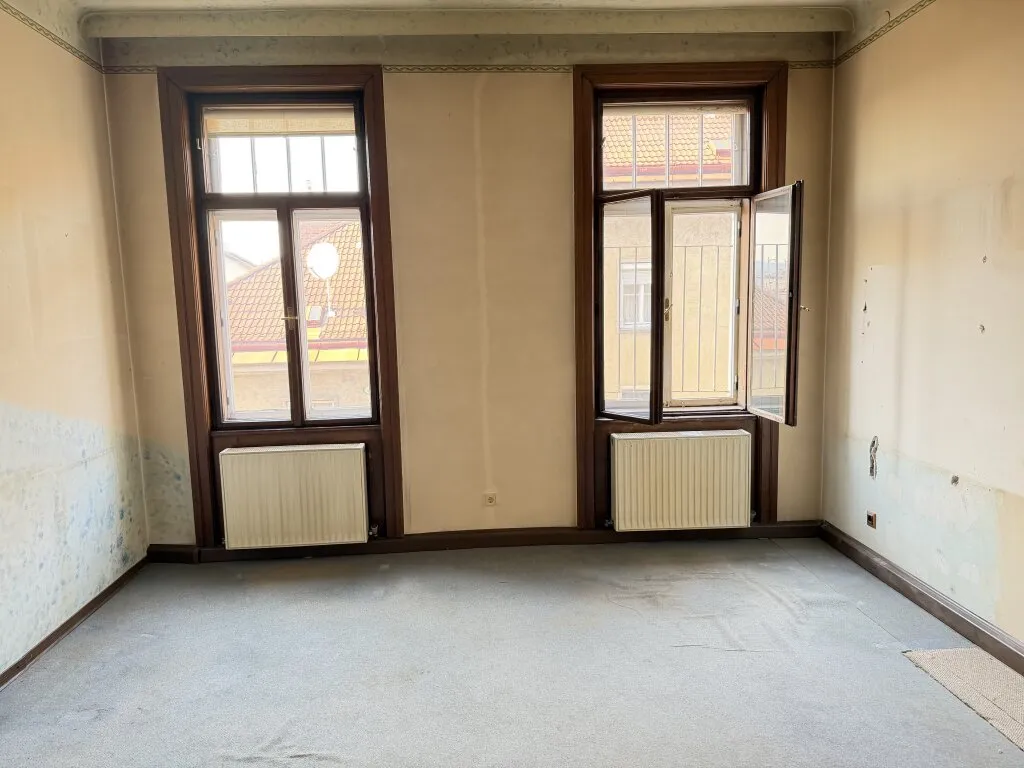 Traumwohnung zum Sanieren - seltene Gelegenheit im 9. Bezirk - Ansicht 2