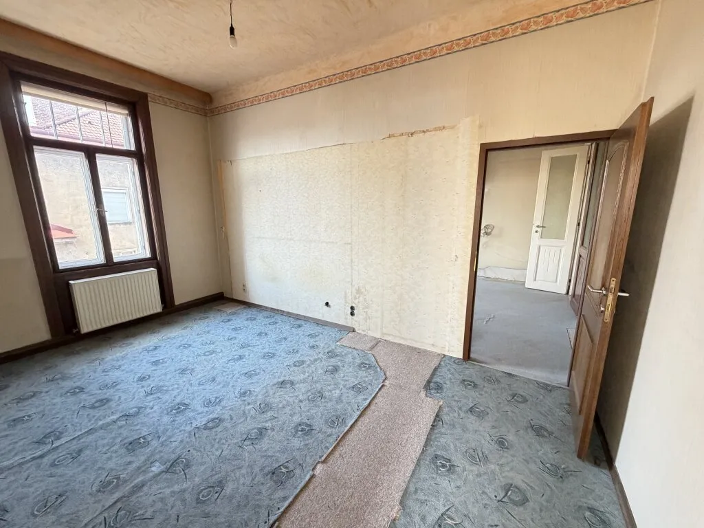 Traumwohnung zum Sanieren - seltene Gelegenheit im 9. Bezirk - Ansicht 3
