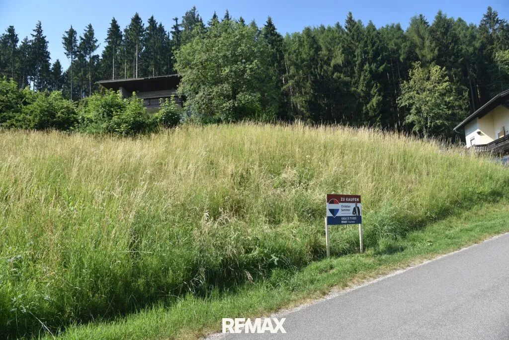 Natur pur am Vöcklaberg: Preiswertes Hanggrundstück in absoluter Ruhelage – pohled 2