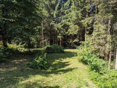1-Zimmer-Wohnung mieten in Salzburg-Umgebung – 40 m², € 84 – Bild 3 von 7