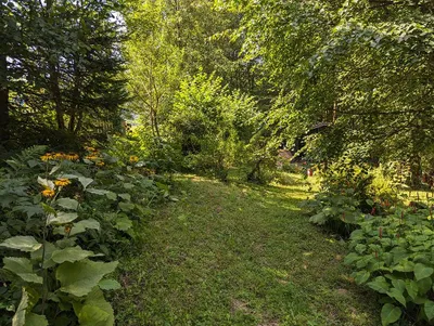1-Zimmer-Wohnung mieten in Salzburg-Umgebung – 40 m², € 84 – Bild 4 von 7