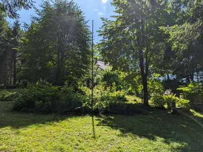 1-Zimmer-Wohnung mieten in Salzburg-Umgebung – 40 m², € 84 – Bild 2 von 7
