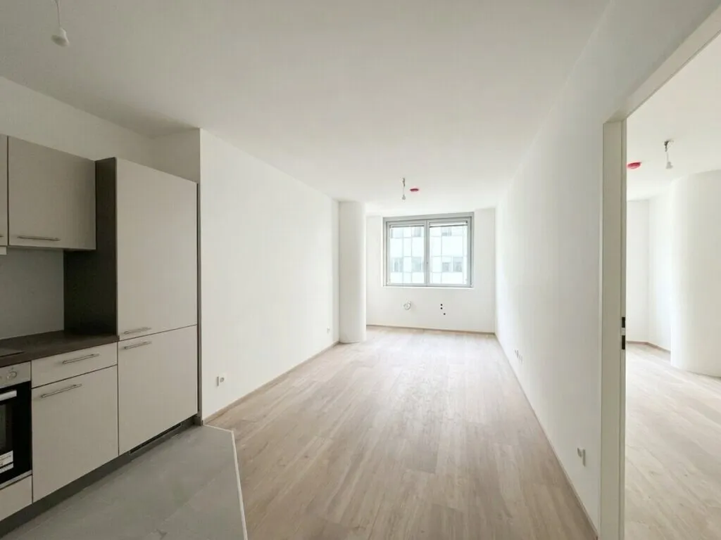 Ohne Provision! Gekühltes und neues 2-Zimmer Büro nur eine Minute von U4/U6 Längenfeldgasse gelegen! - Ansicht 2