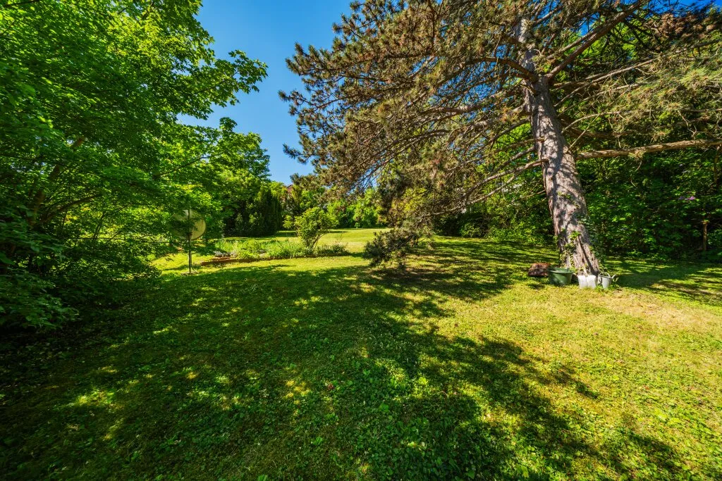 ZWEI Baugrundstücke mit gesamt 1670m² im Herzen von Neustift am Walde in 1190 Wien - Ansicht 3