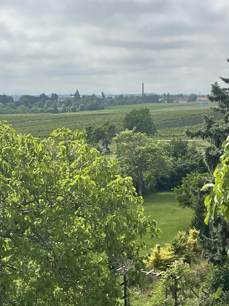 Baugrundstück (2.059 m²) in 2504 Sooß - Traumlage für Ihr Eigenheim! - Ansicht 3