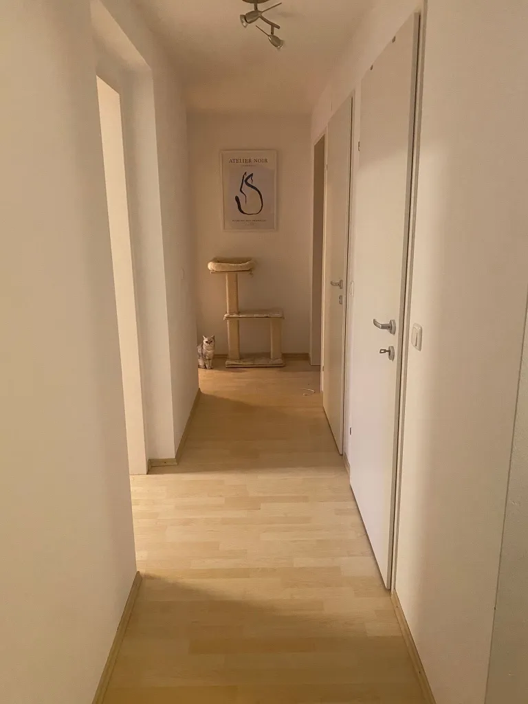 Apartment in Bruckneudorf - View 2
