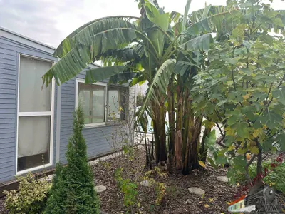 5-Zimmer-Haus kaufen in Gänserndorf – 144 m², € 699.000 – Bild 5 von 47