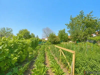 3-Zimmer-Haus kaufen in Gänserndorf – 170 m², € 390.000 – Bild 29 von 39
