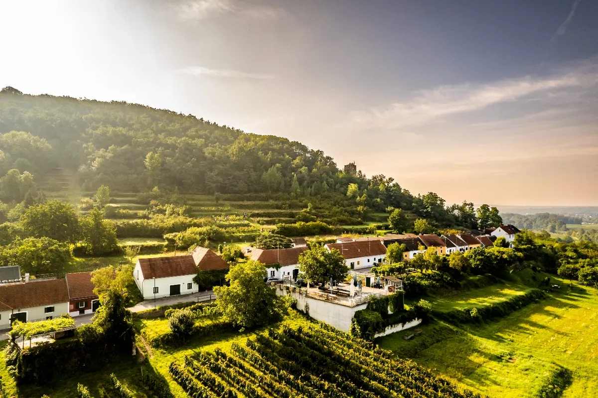 Weinkeller / Gastronomie / Eventlocation am Heiligenstein mit 5000 m² Grund - Ansicht 2