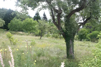 Grundstück kaufen in Tulln – 700 m², € 262.500 – Bild 4 von 6