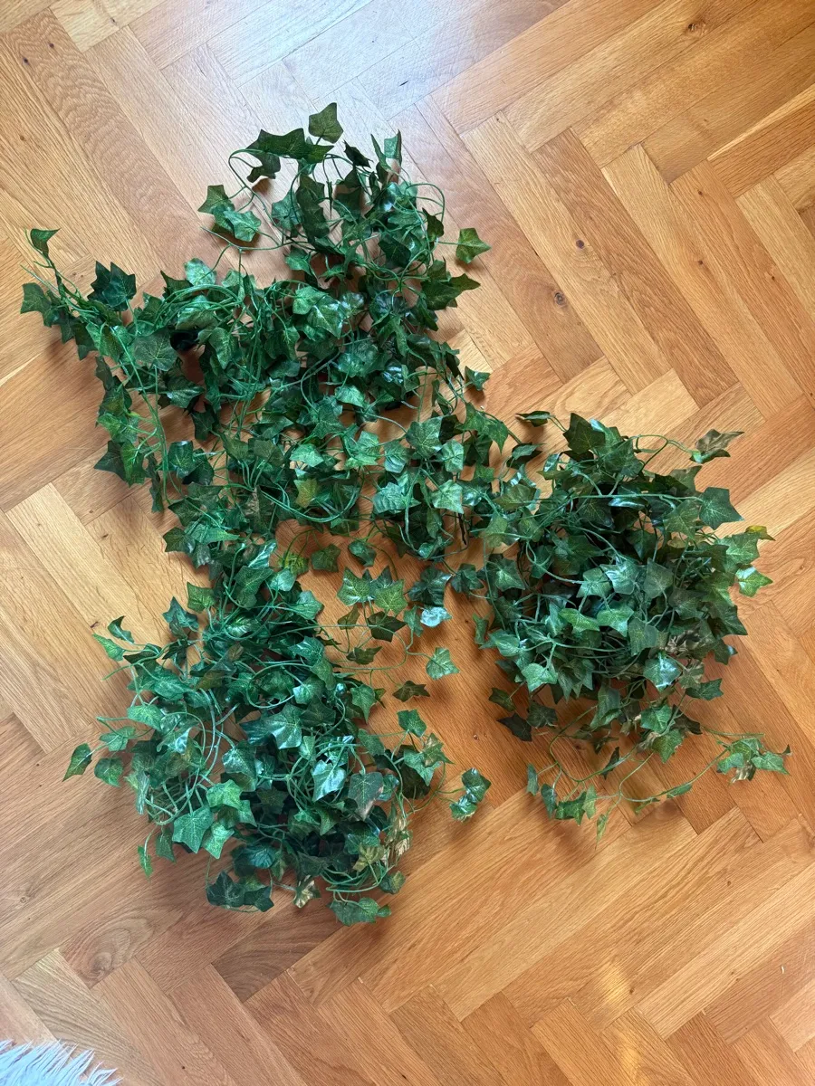 Künstliche Efeuranken / Kunstefeu, € 15,- (2232 Parbasdorf)