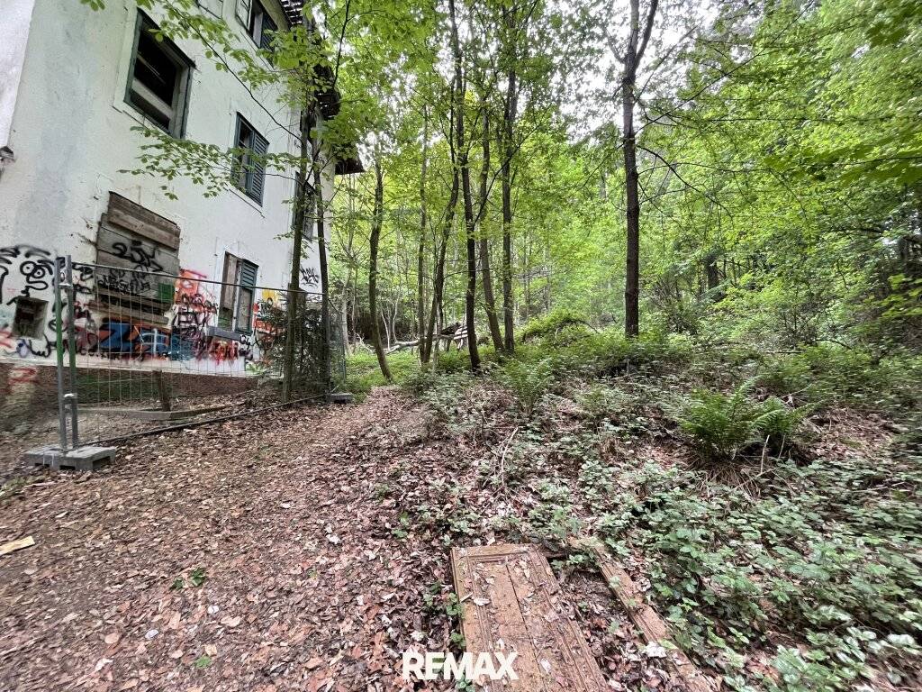 Waldgrundstück mit Altbestand in Amras - Ansicht 3