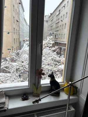 Sonniges Altbau möbliert