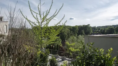 Haus kaufen in Linz – 203 m², € 2.490.000 – Bild 20 von 22