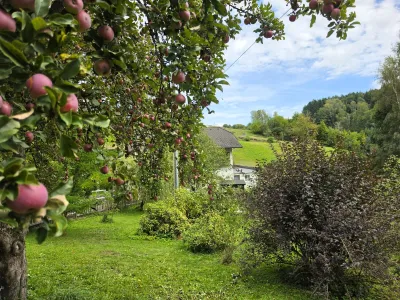 6-Zimmer-Haus kaufen in Rohrbach – 166 m², € 429.000 – Bild 26 von 26