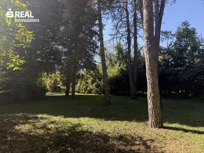 Grundstück kaufen in Südoststeiermark – 2 272 m² – Bild 3 von 24