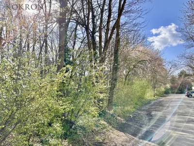 2-Zimmer-Wohnung kaufen in Wien – 48 m², € 239.000 – Bild 12 von 13