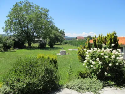 Haus kaufen in Leibnitz – 225 m², € 495.000 – Bild 3 von 26