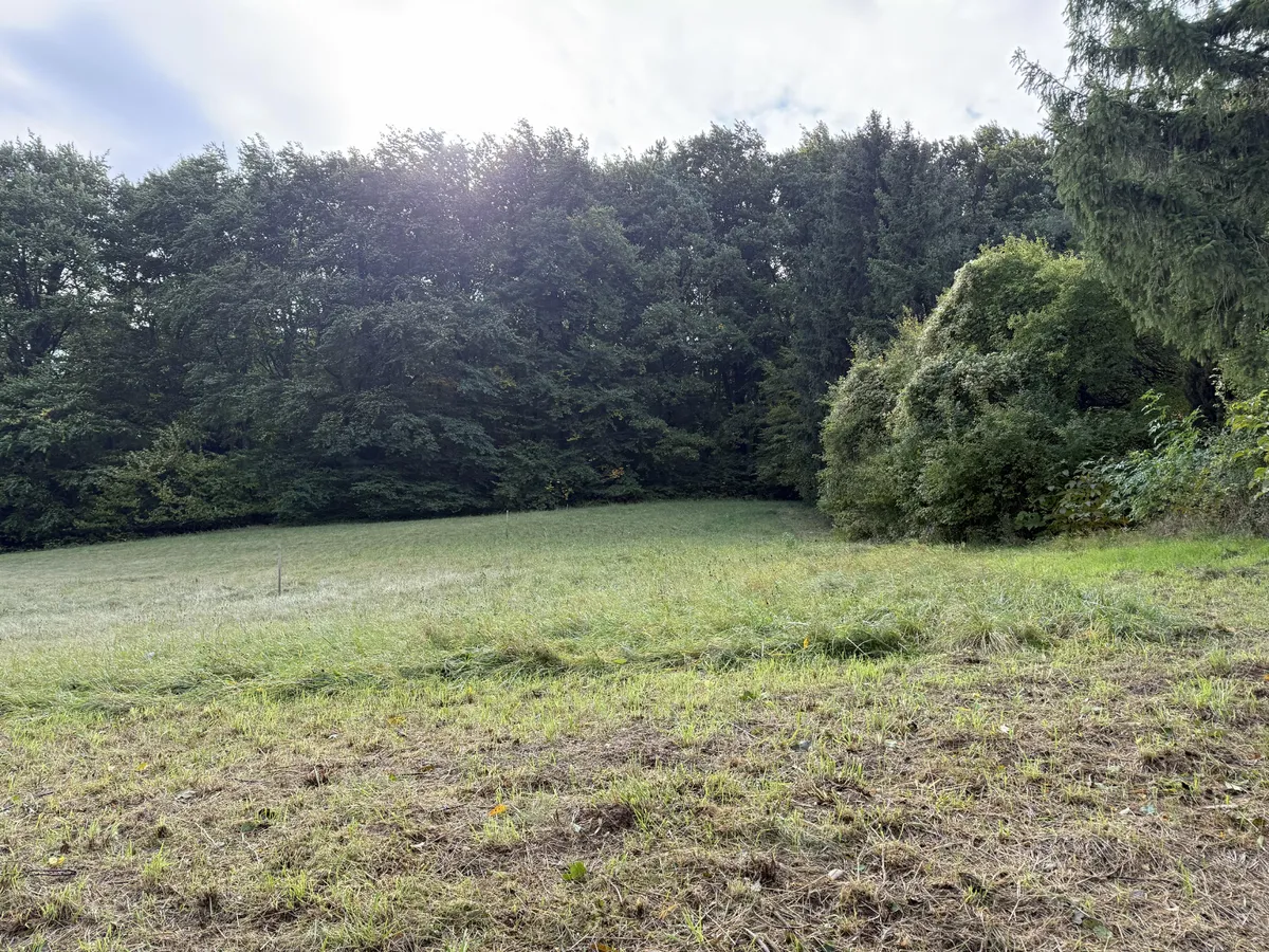 Baugrundstück in Aussichtslage - Ansicht 2