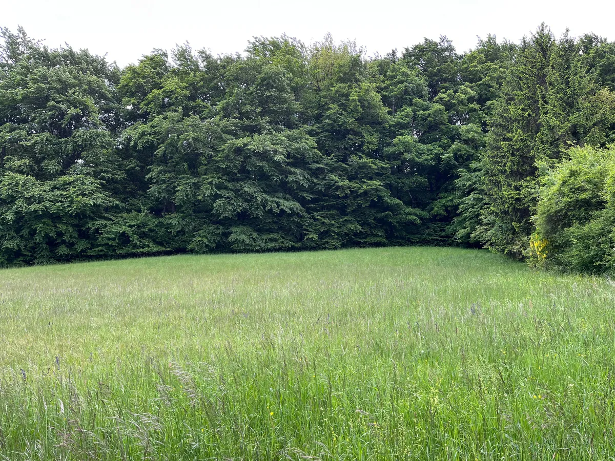 Baugrundstück in Aussichtslage - Ansicht 3