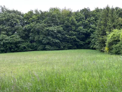 Grundstück kaufen in Mödling – 1 023 m², € 260.000 – Bild 3 von 5