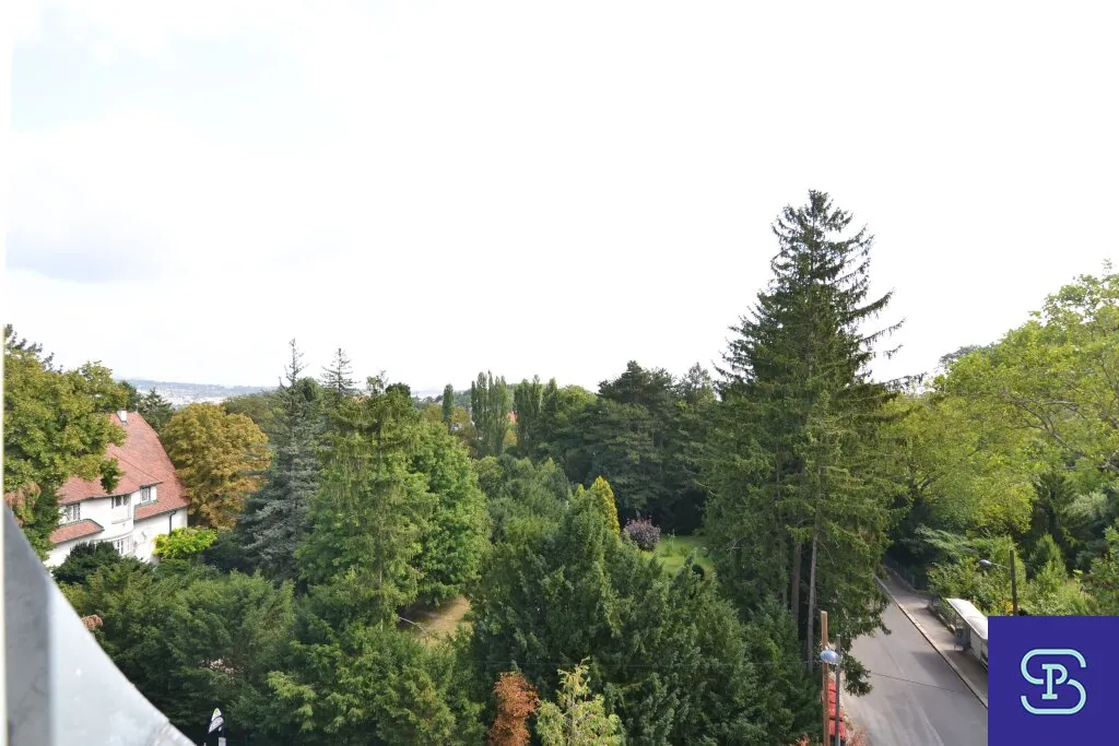 Renovierte 109m² DG-Wohnung mit Galerie Nahe Lainzer Tiergarten - 1130 Wien - Ansicht 2