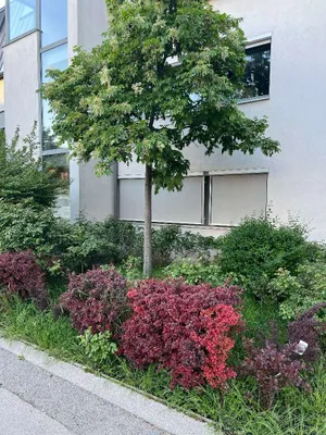 Ruhige 3-Zimmer-Gartenwohnung mit Tiefgarage in 1220 Wien - Polgarstraße-Wohnfläche 67,57m2, Garten 78,89m2, Baujahr 2007