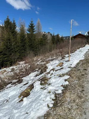 Grundstück kaufen in Murtal – 400 m² – Bild 2 von 3