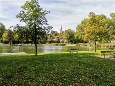Grundstück kaufen in Hartberg-Fürstenfeld – 2 380 m², € 169.900 – Bild 4 von 6