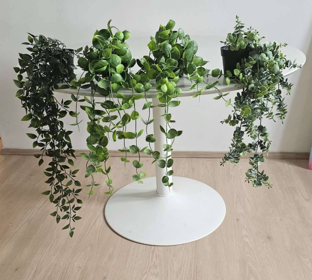 buy monstera Buy Wholesale Extra Large Monstera Leaves Tropical Greenery in Bulk main image 1