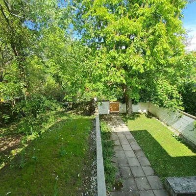 10-Zimmer-Haus mieten in Wien – 283,92 m², € 13.080 – Bild 25 von 28