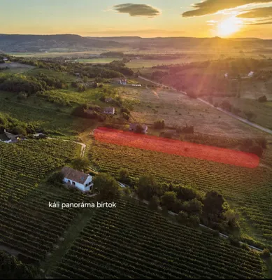 Grundstück kaufen in Österreich – 5 127 m², € 36.000