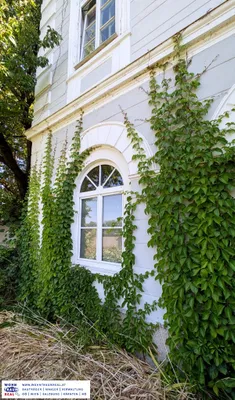 Haus kaufen in Perg – 393,7 m², € 480.000 – Bild 12 von 22