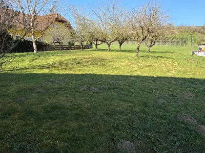 7-Zimmer-Haus kaufen in Südoststeiermark – 170 m², € 284.800 – Bild 9 von 21