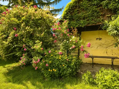 7-Zimmer-Immobilie kaufen in Hollabrunn – 144 m², € 350.000 – Bild 10 von 34