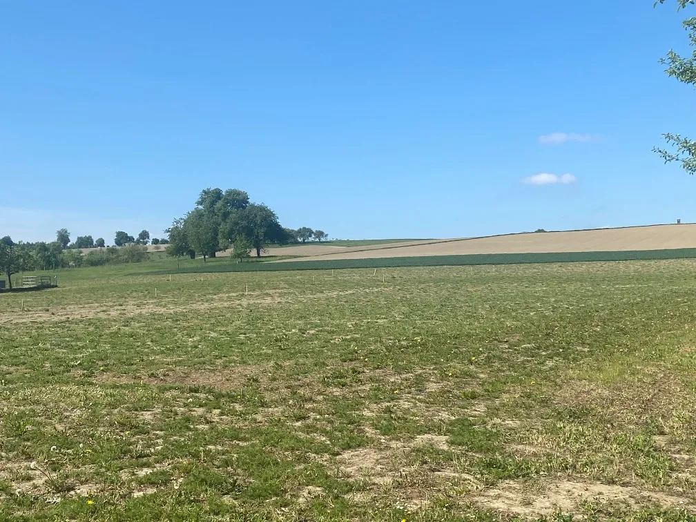 Sonnige Bauparzellen in attraktiver Lage von Krenglbach - Ansicht 2
