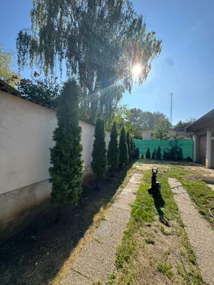 2-Zimmer-Haus mieten in Eisenstadt - Umgebung – 53 m², € 799 – Bild 9 von 12
