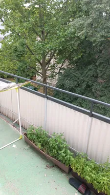 4-Zimmer-Wohnung mieten in Wien – 78 m², € 800