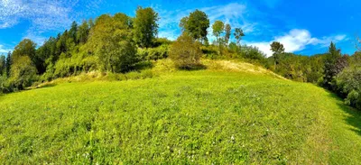 Grundstück kaufen in Graz-Umgebung – 1 000 m², € 125.000 – Bild 4 von 8