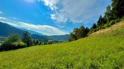 Grundstück kaufen in Graz-Umgebung – 1 000 m², € 125.000 – Bild 3 von 8