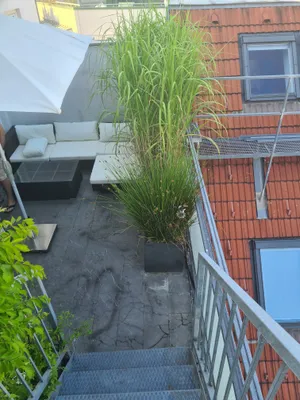 3-Zimmer-Wohnung mieten in Wien – 97 m², € 2.356 – Bild 14 von 21